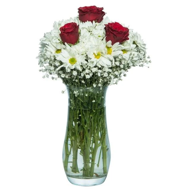 VAZODA GÜLLER & PAPATYA 